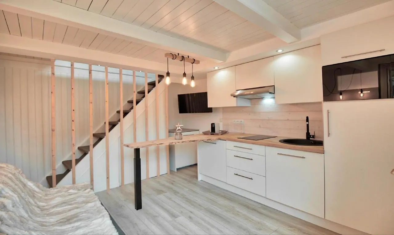 Cosy Duplex Avec 90 M2 De Terrasse location